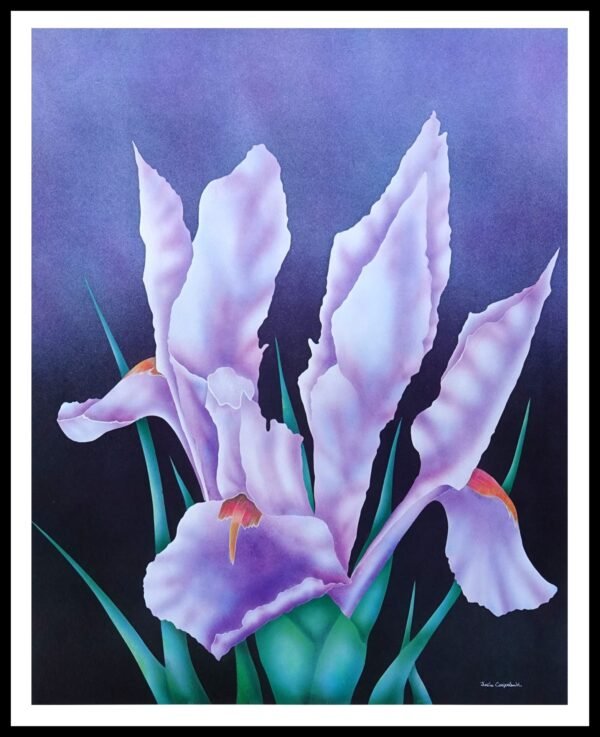 DAC 10940 Velvet Iris